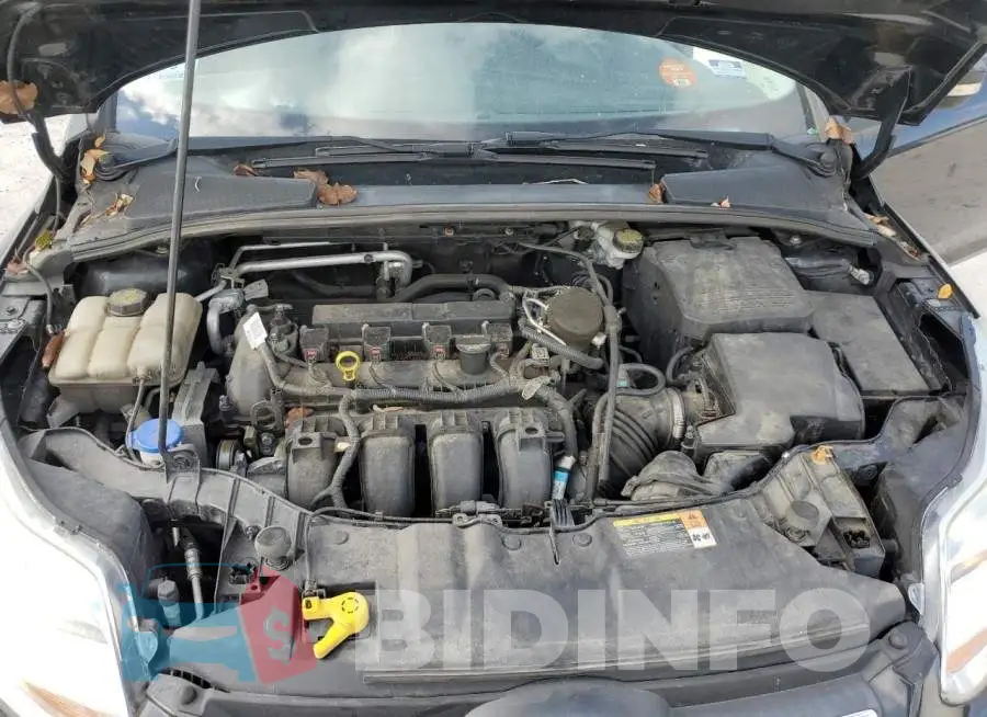 1FADP3F21EL250687 Photo# 11