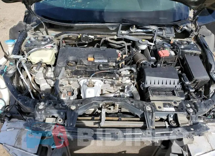 19XFC2F51HE223568 Photo# 11