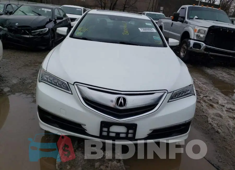 19UUB1F57FA012798 Photo# 5