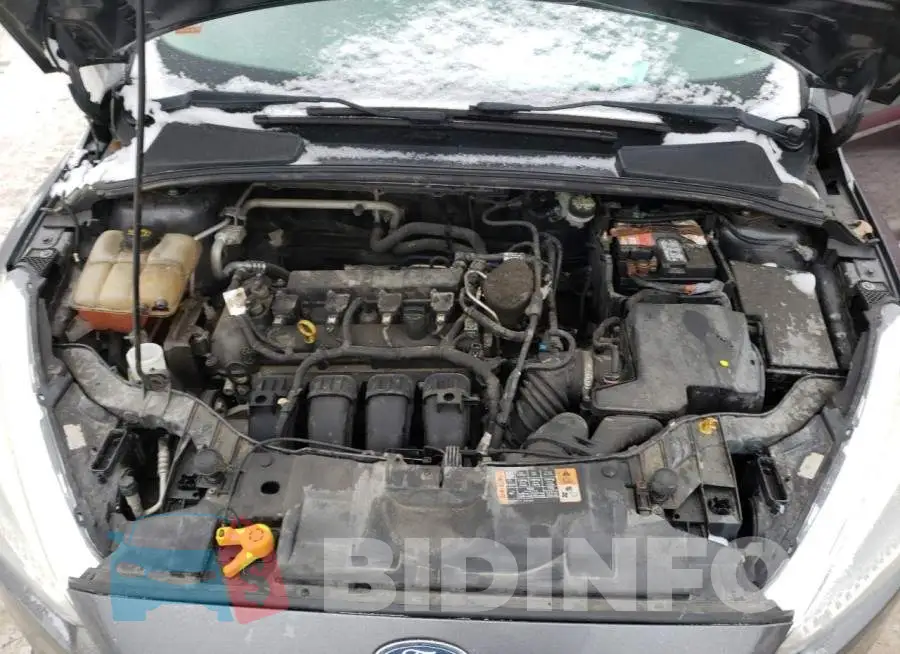 1FADP3F20GL283702 Photo# 11
