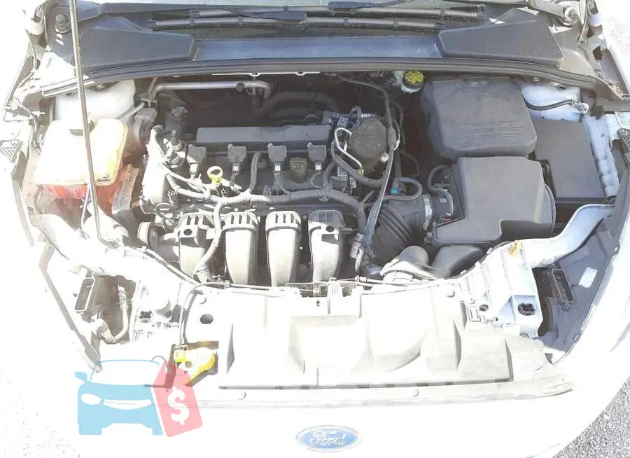 1FADP3K2XFL317763 Photo# 7