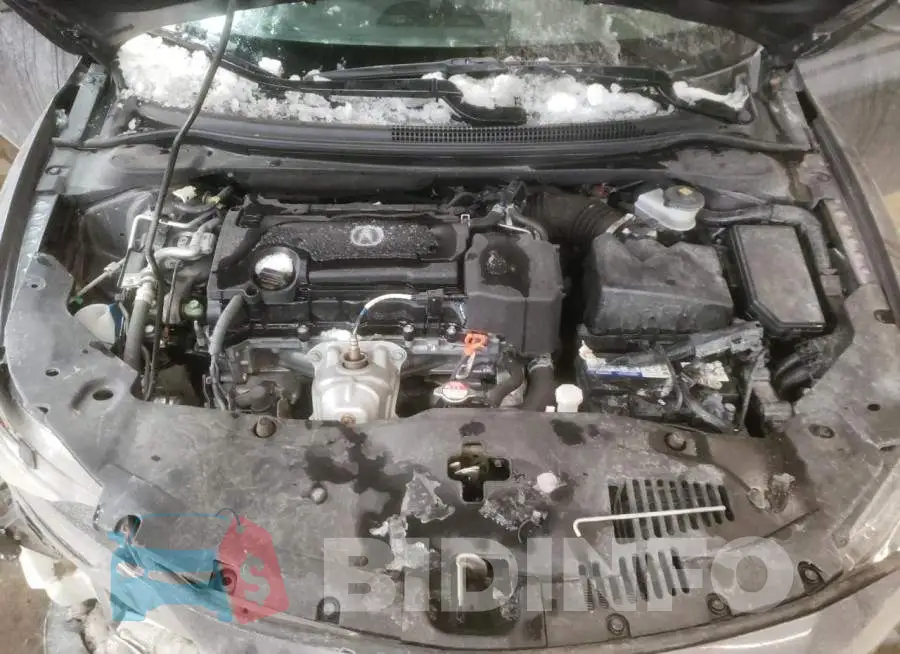 19UDE2F71MA800407 Photo# 11