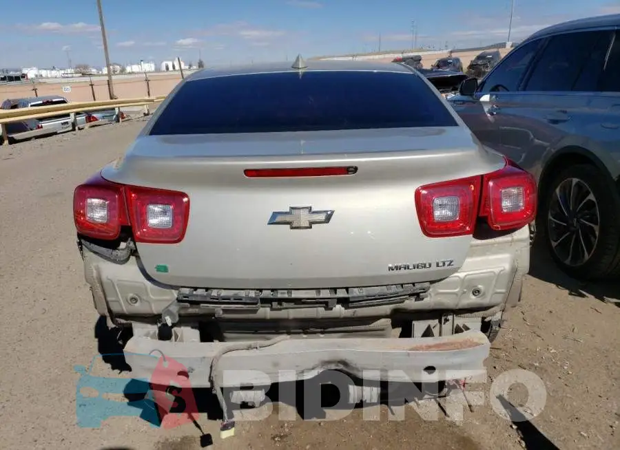 1G11F5SL4FF311274 Photo# 6