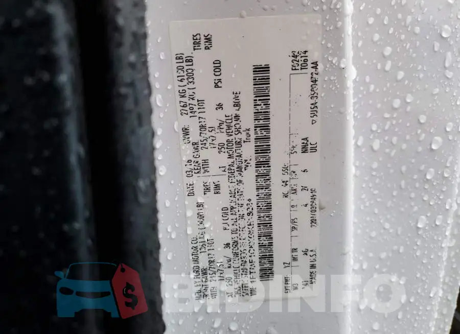 1FTMF1C8XGKE18264 Photo# 12