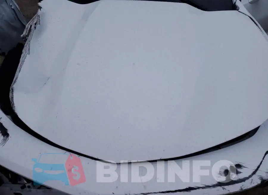 1G1FB1RS1M0110763 Photo# 11