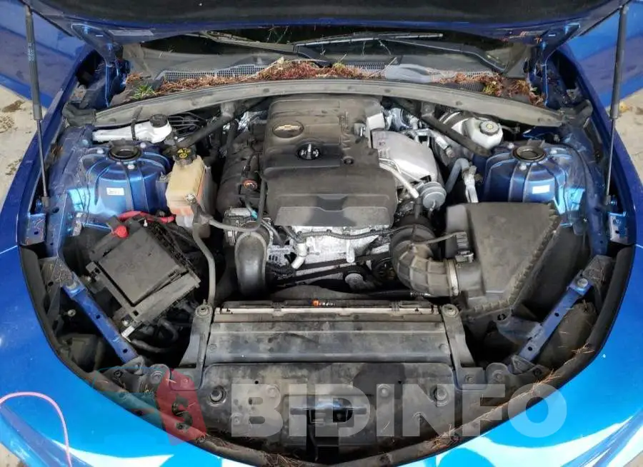 1G1FB1RX8H0156365 Photo# 11
