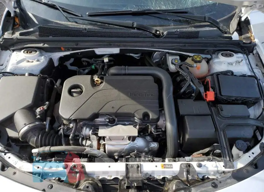 1G1ZD5ST3KF216269 Photo# 11