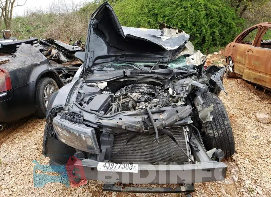 2G1FB3D33E9263812 Photo# 5