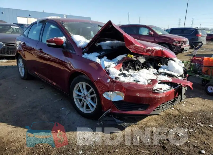 1FADP3F2XGL359684 Photo# 4