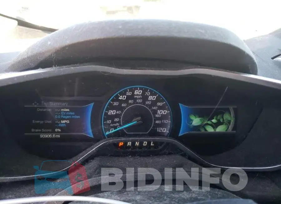 1FADP5CU1GL102415 Photo# 9
