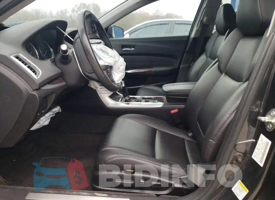 19UUB1F31FA013542 Photo# 7