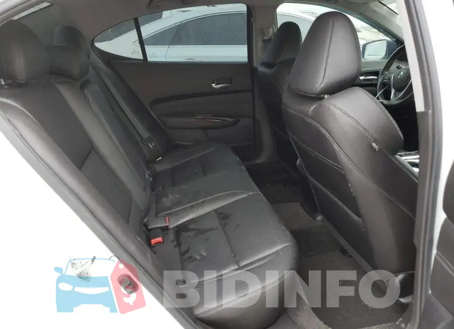 19UUB1F38FA013022 Photo# 10