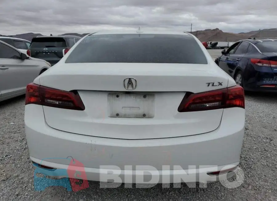 19UUB1F38FA013022 Photo# 6