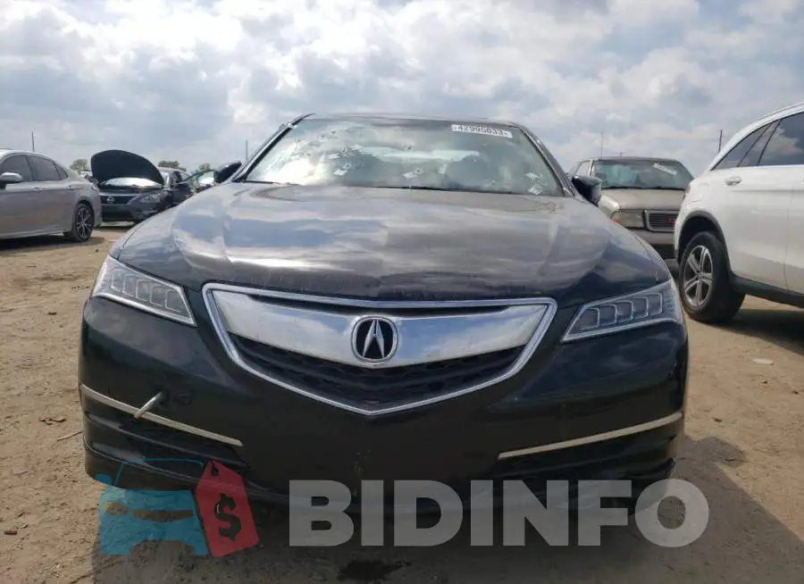 19UUB2F50FA008582 Photo# 5