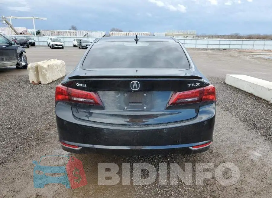 19UUB2F70FA017123 Photo# 6