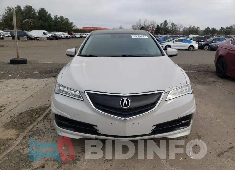 19UUB3F51FA005339 Photo# 5