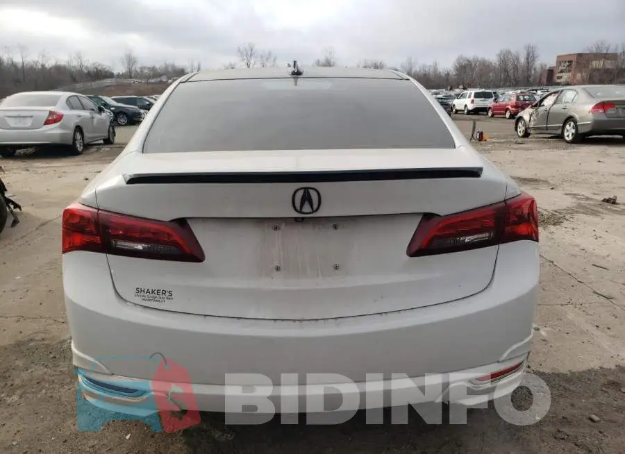 19UUB3F51FA005339 Photo# 6