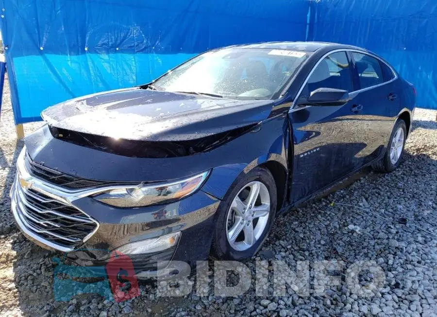 1G1ZD5ST3PF167033 Photo# 1