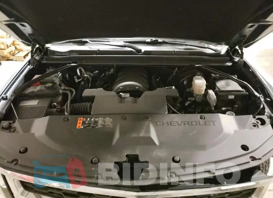 1GNSKBKC1LR231289 Photo# 12