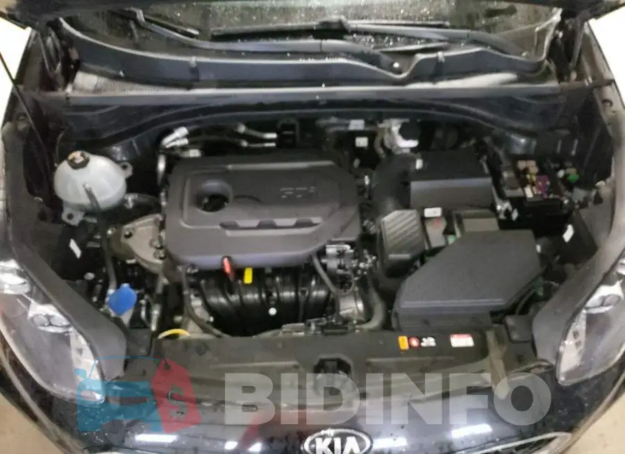 KNDPM3AC1L7701333 Photo# 11