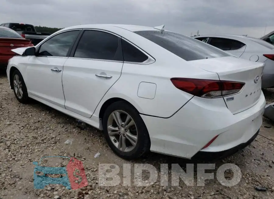 5NPE34AF7KH779412 Photo# 2