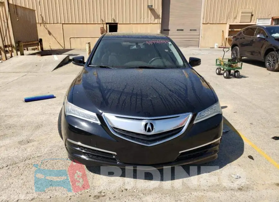 19UUB1F32FA015199 Photo# 5