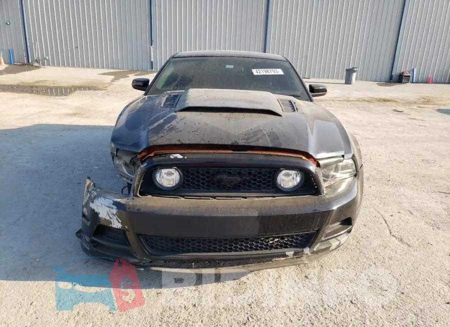 1ZVBP8CF5E5253583 Photo# 5