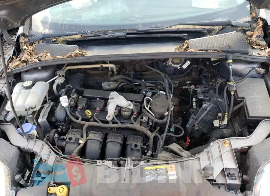 1FADP3F20EL243763 Photo# 11