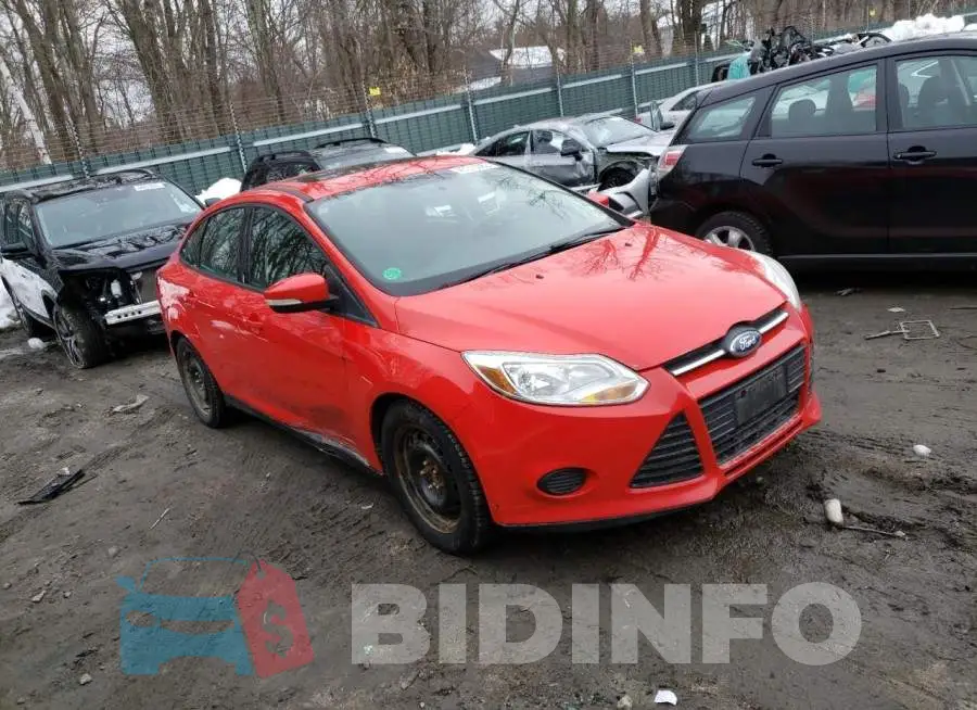 1FADP3F22EL313036 Photo# 4