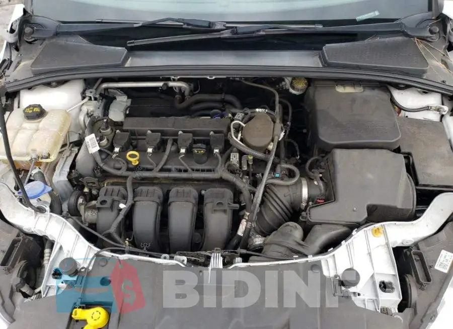 1FADP3K20FL238893 Photo# 11