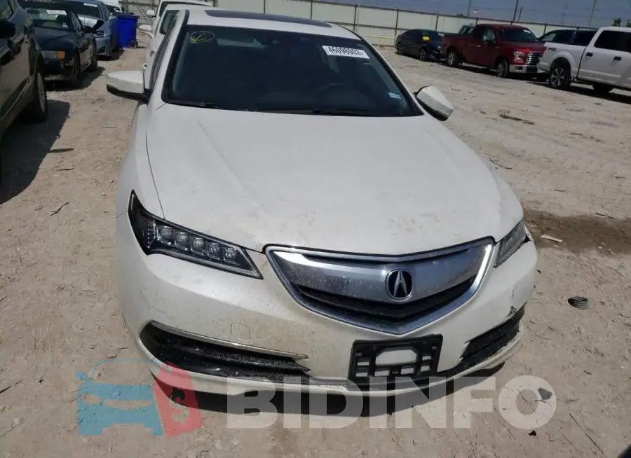 19UUB1F52FA026057 Photo# 5