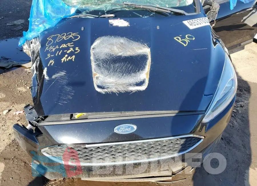 1FADP3F22GL248319 Photo# 11