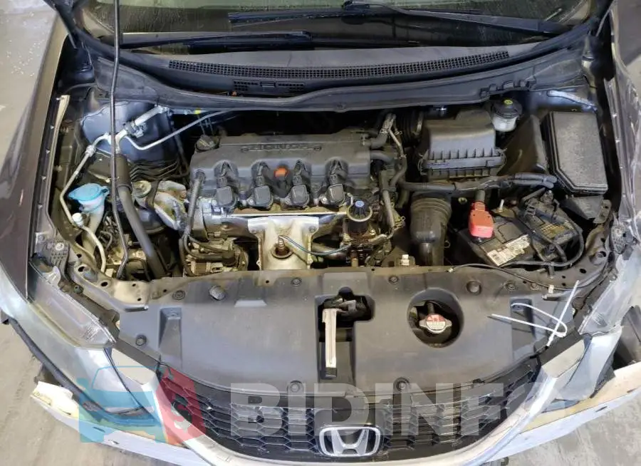 19XFB2F88FE038900 Photo# 7