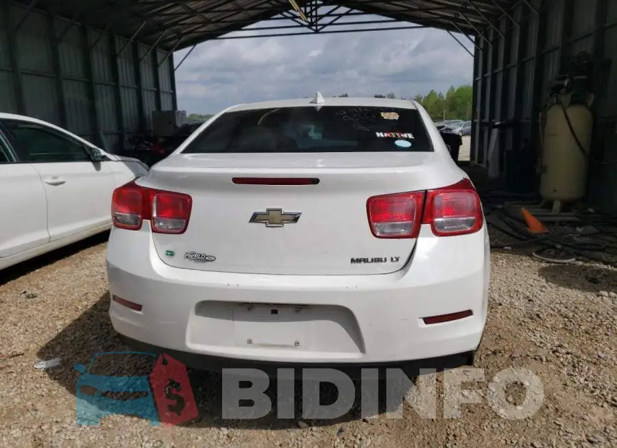 1G11C5SL0FF247954 Photo# 6