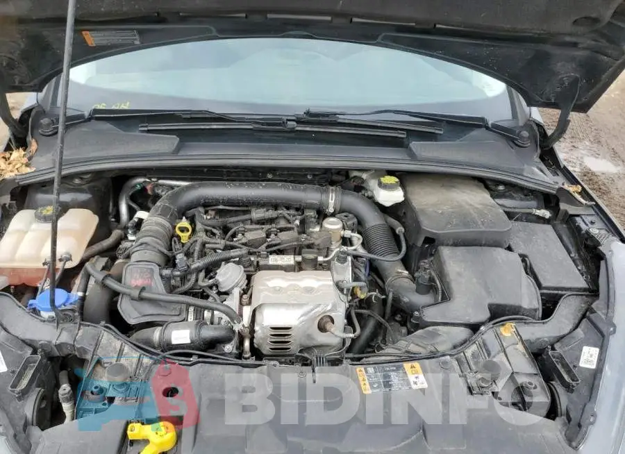 1FADP3FE5HL295212 Photo# 11