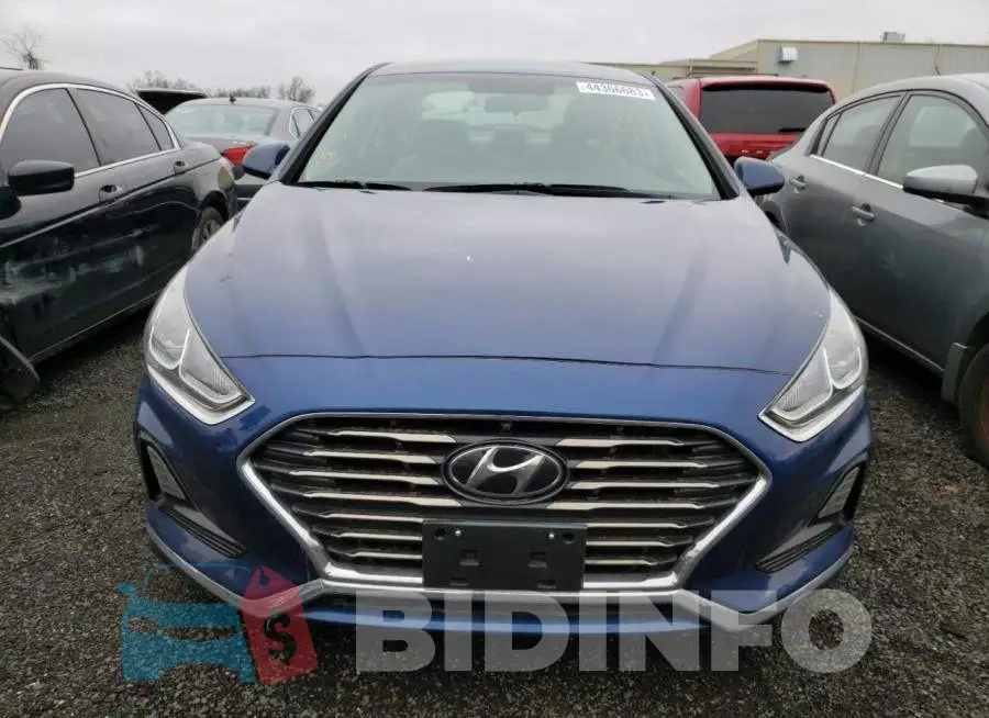 5NPE24AF1KH815906 Photo# 5