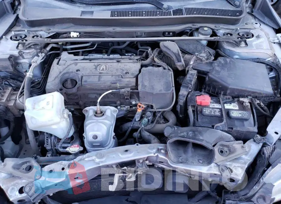 19UUB1F51FA010464 Photo# 11