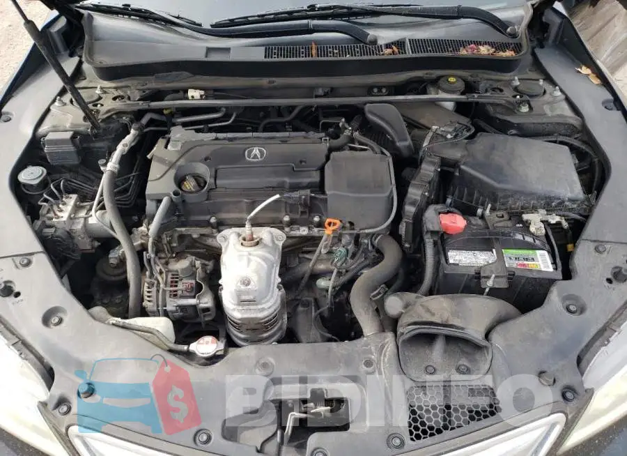 19UUB1F51FA010724 Photo# 11