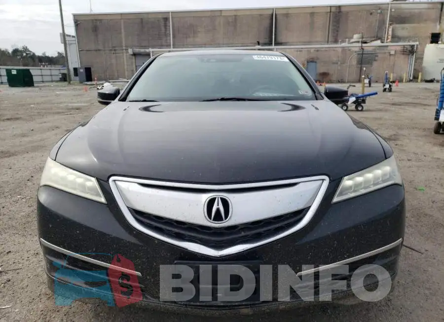 19UUB1F51FA010724 Photo# 5