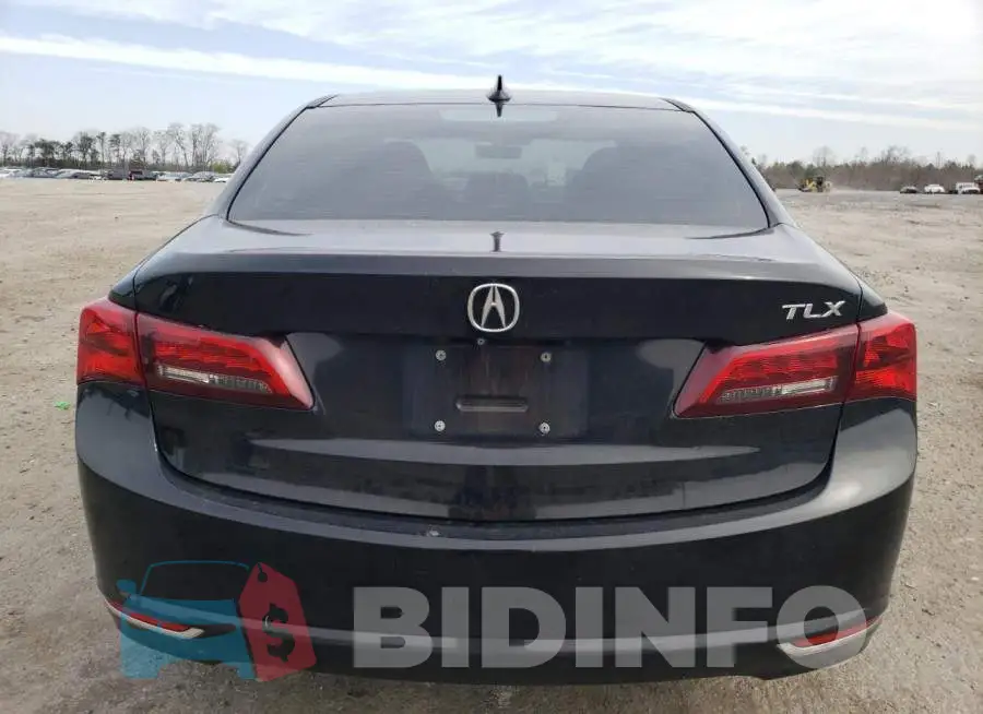 19UUB1F51FA010724 Photo# 6