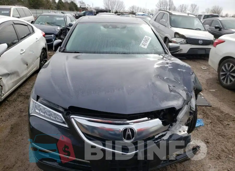 19UUB1F51GA012121 Photo# 5