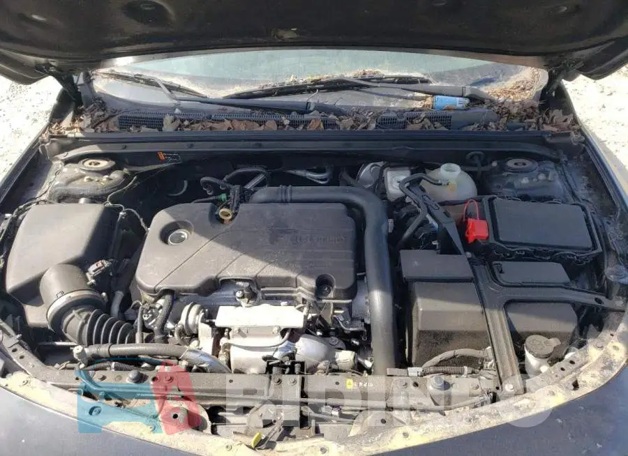 1G1ZB5ST0JF207193 Photo# 11