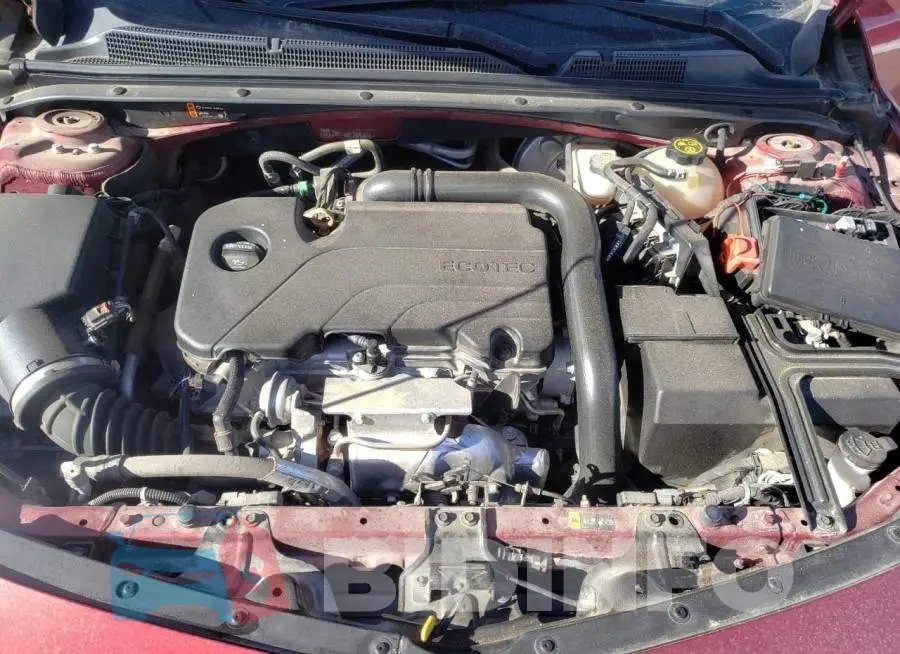 1G1ZD5ST6KF135282 Photo# 11