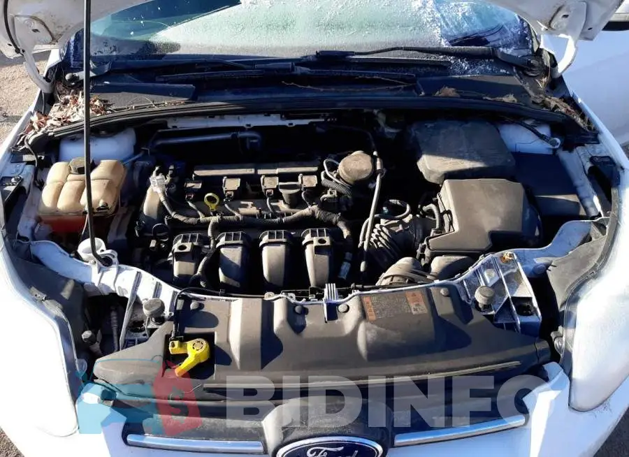 1FADP3F22EL301629 Photo# 11
