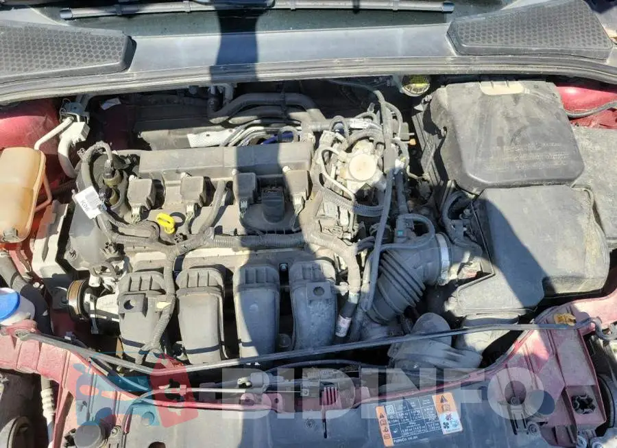 1FADP3F26GL354563 Photo# 7