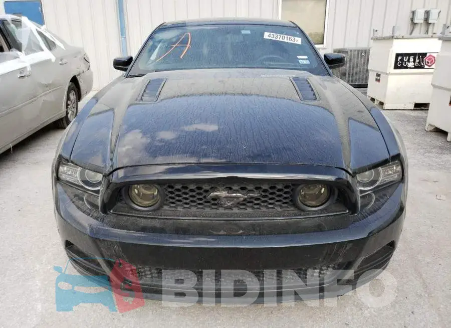 1ZVBP8CF1E5313388 Photo# 5