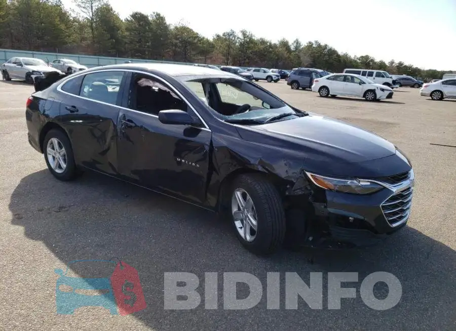 1G1ZD5ST4PF123817 Photo# 4