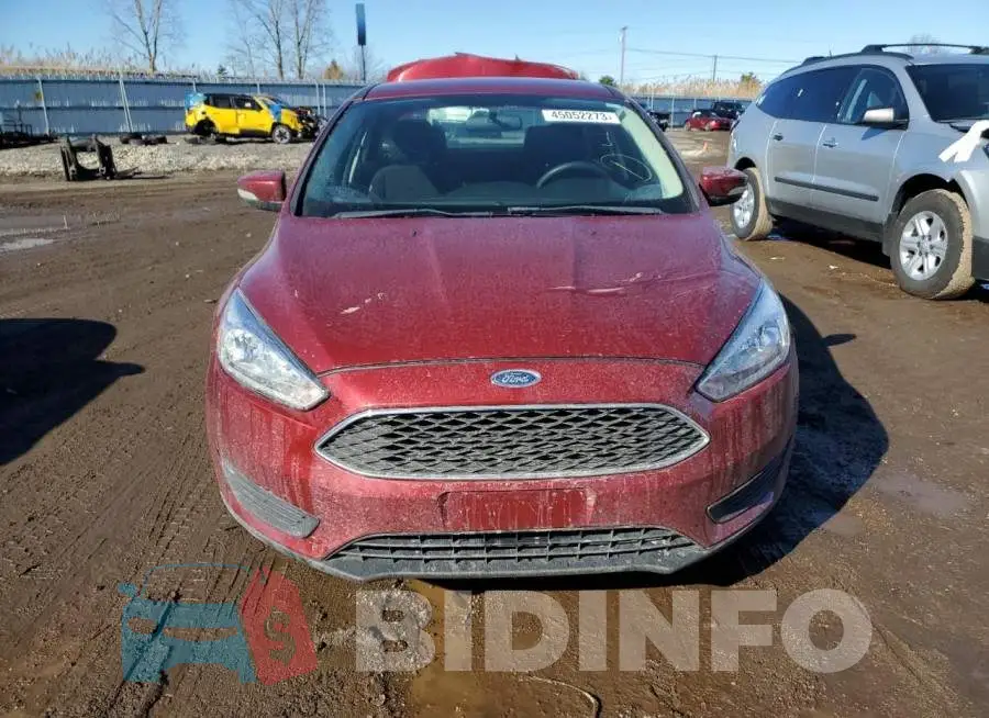 1FADP3F26GL305296 Photo# 5