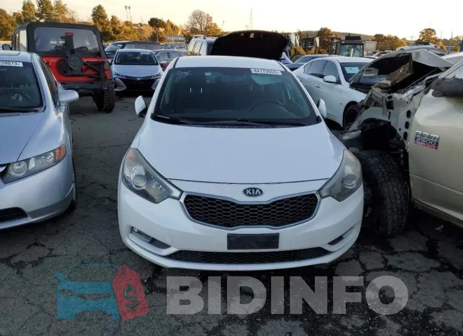 KNAFX4A88E5116491 Photo# 5