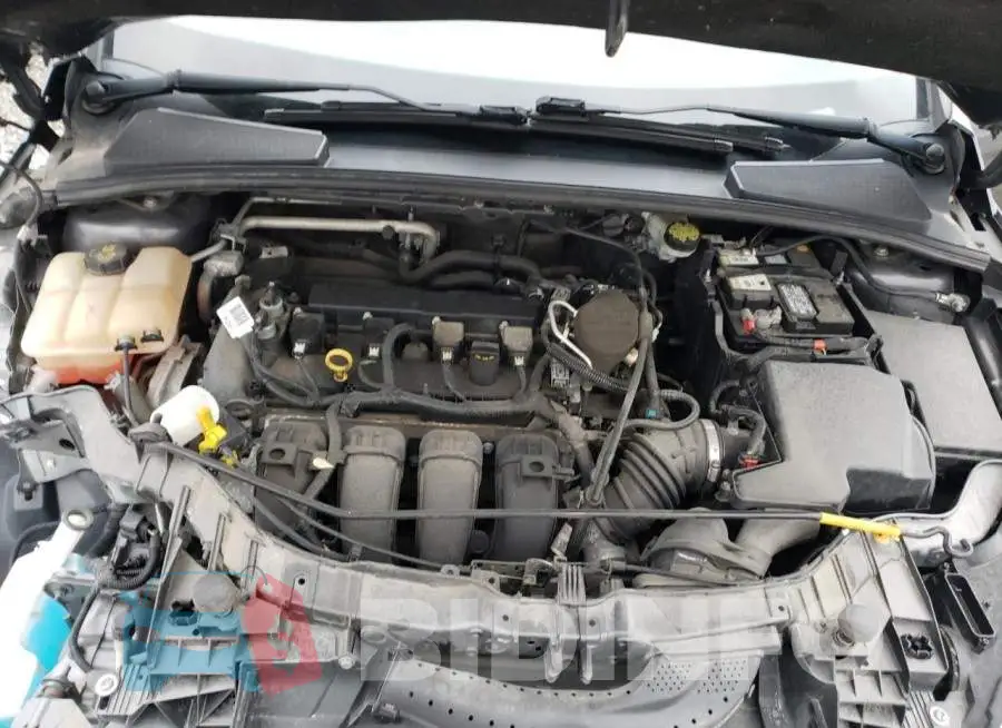 1FADP3F25GL212432 Photo# 11